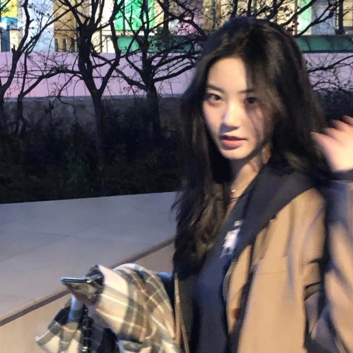 网美嬉游记